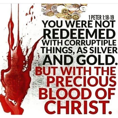 B57E8DA8-5D20-469C-8FF3-F8C5BB9C56F9-8979-0000087F68299CD0