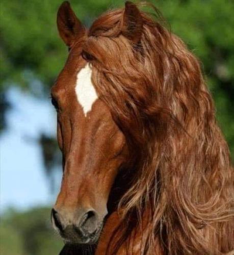 00:46:18 GMT-0600 (CST)