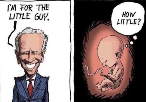 He and the entire biden family are pedophile and pedovore