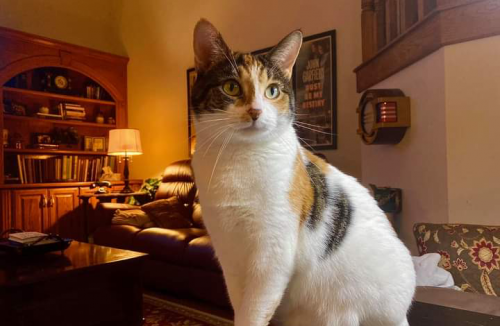 23:16:41 GMT-0500 (EST).png