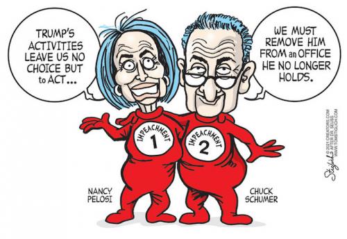 PELOSI SCHUMER CARTOON