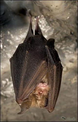 12:06:52 GMT-0600 (CST)