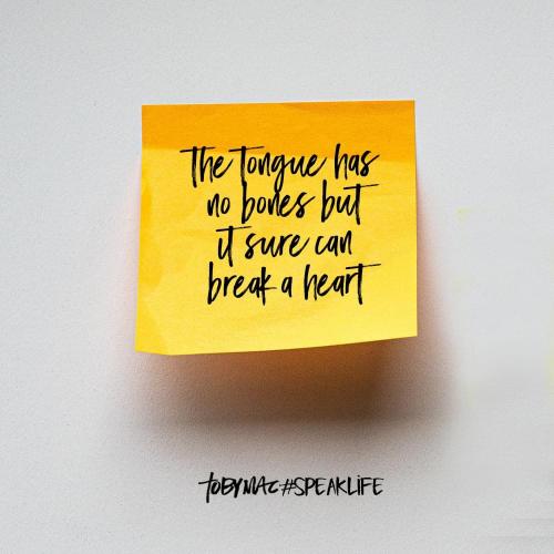 9A636371-5D1F-4FD5-B804-47C5B717B813