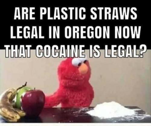 124558506_10220703129906601_1218076908636854357_n