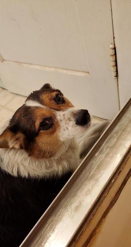 05:14:04 GMT-0800 (PST)