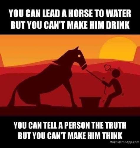 Lead a Horse to Water