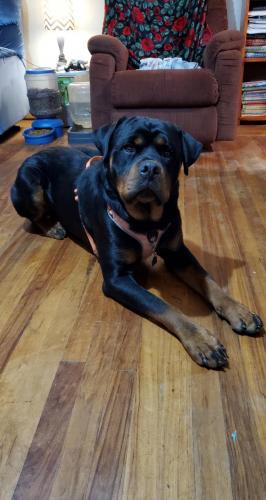 17:00:48 GMT-0800 (PST)