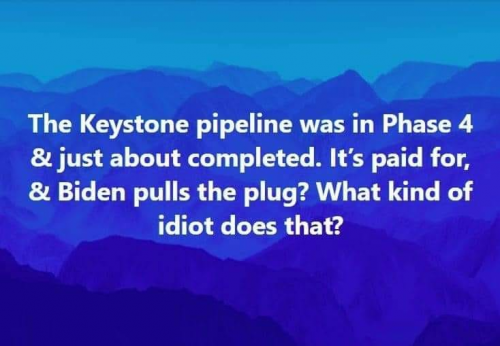 151697462_740160283354780_2916390145153561138_n