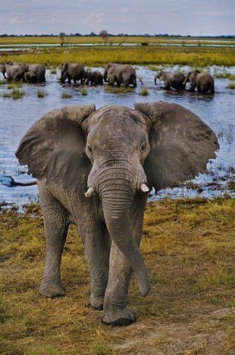 155037378_1522377291294949_3825066694721021549_n