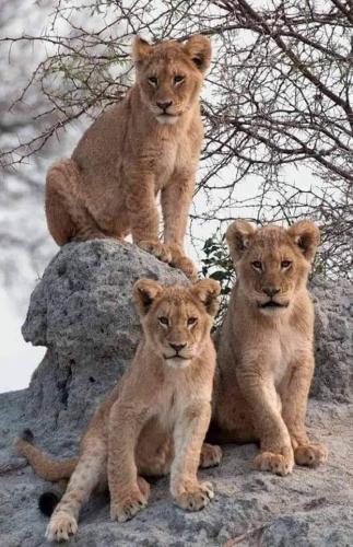 149291240_1796597267173144_8458792911874472779_n