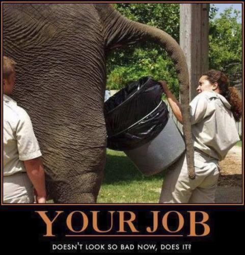 your job00