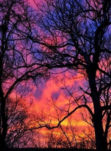 18:54:03 GMT-0600 (CST)