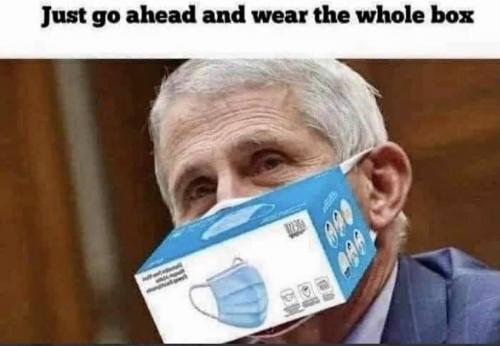 144575875_242198144169490_7121037987085481275_n