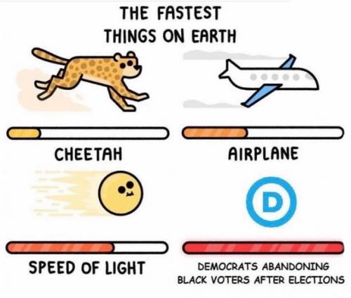 black vote00