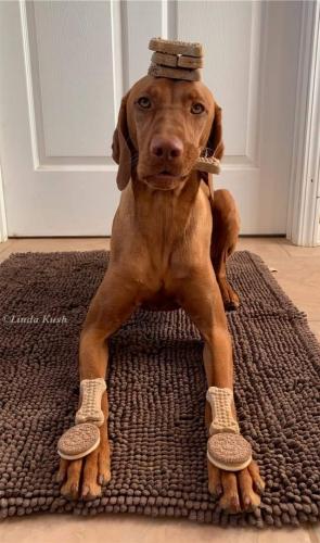 12:03:42 GMT-0600 (CST)