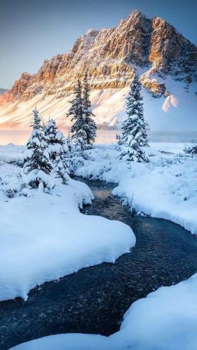 153267832_1520310844834927_4493180833192088338_o