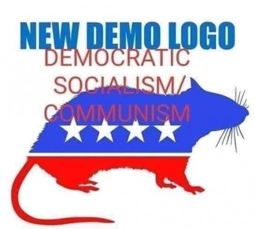 98323376_323516105282925_5150774224473817088_n