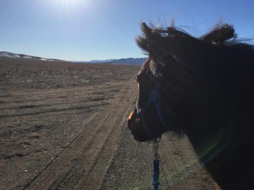 20:19:45 GMT-0800 (PST).image