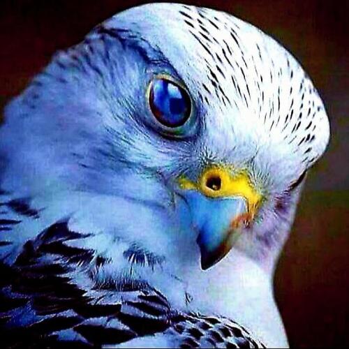 19:24:25 GMT-0500 (EST).image