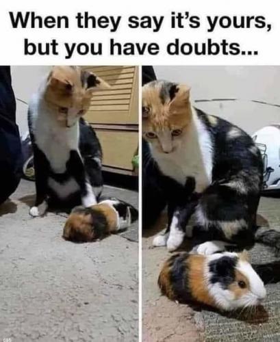 14:45:37 GMT-0500 (EST)