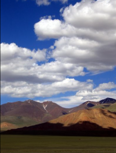 Screenshot 2021-02-01 at 8.22.49 AM