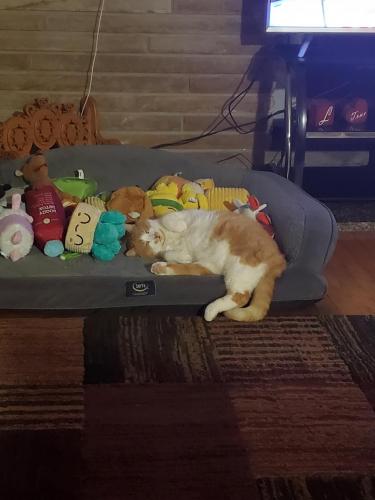 20:35:08 GMT-0500 (EST)