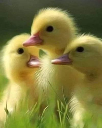 05:56:57 GMT-0600 (CST)