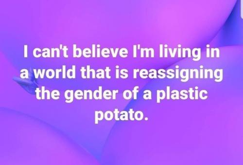 08:29:16 GMT-0800 (PST)