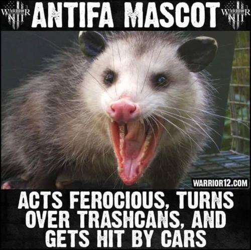 ANTIFA mascot