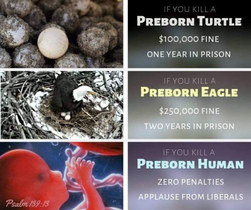 23:58:37 GMT-0800 (PST).image