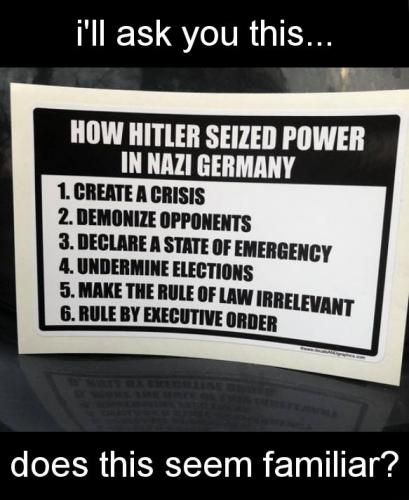 hitler11