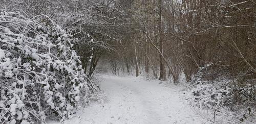 09:45:35 GMT+0100 (CET)