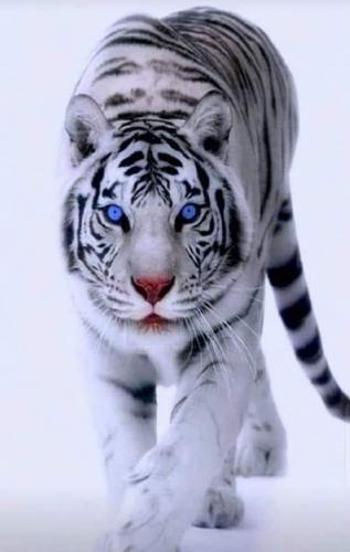 22:45:21 GMT-0600 (CST)