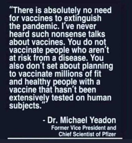 Michael Yeadon - No need for vaccines to extingish the pandemic Never heard such nonsense