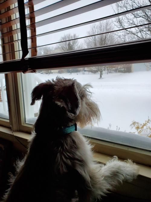 09:47:05 GMT-0500 (EST)