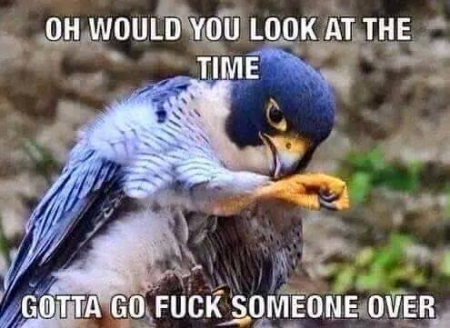 15:18:19 GMT-0500 (EST)