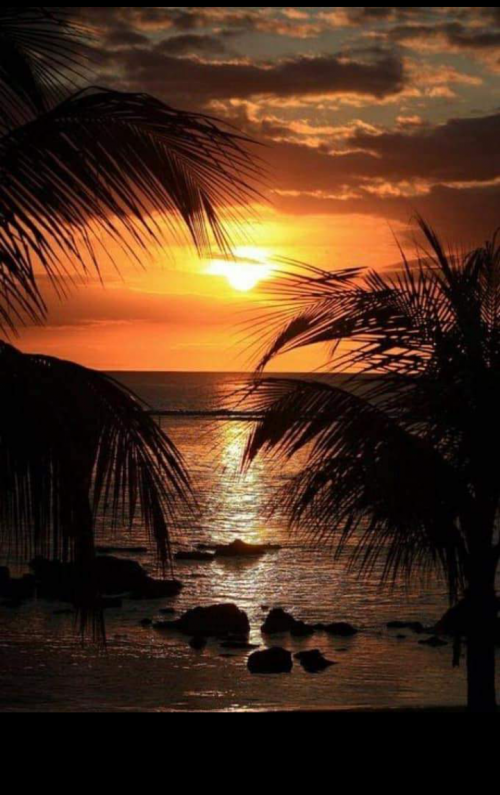 17:15:35 GMT+0100 (WAT).png