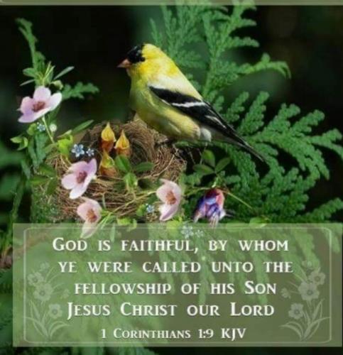 22:07:24 GMT-0600 (CST)