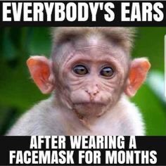 13:11:19 GMT-0700 (MST).image