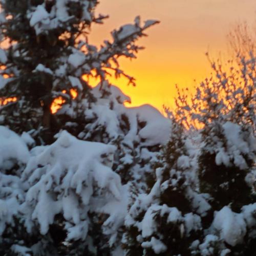 23:22:08 GMT-0700 (MST)