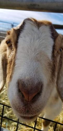 19:56:20 GMT-0800 (PST).image