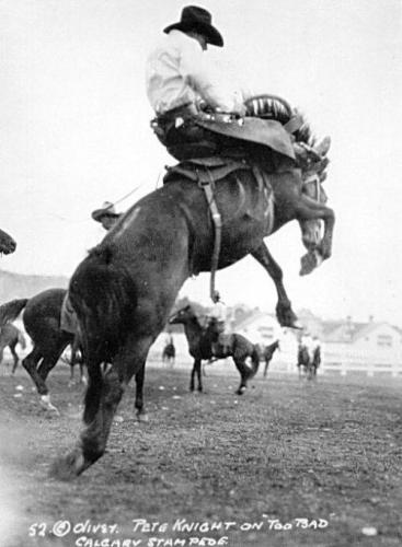 Pete Knight on Too Bad