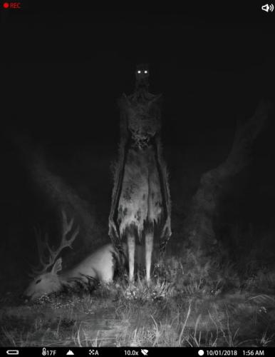 tumblr_59d91f71939f5262d19f441911e15906_cc00455f_540