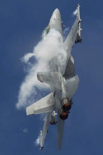 146927832_3737397749679751_199263285120196011_o