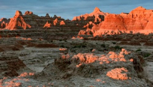 Screenshot 2021-02-07 at 8.43.42 AM