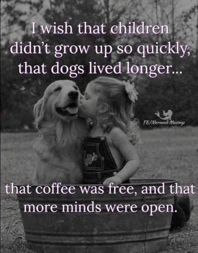 82529442_1588322751314764_7898679847889666048_n