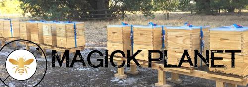 Magick Planet - WIMKIN - Cover