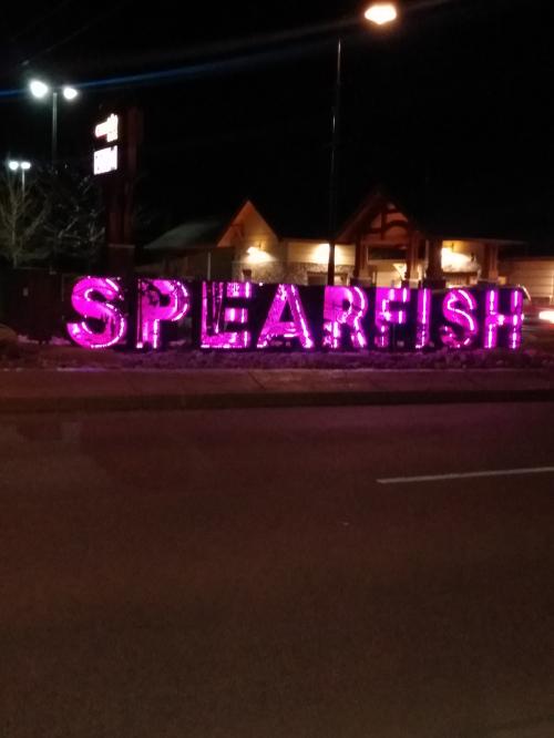 IMG_20210202_185021183