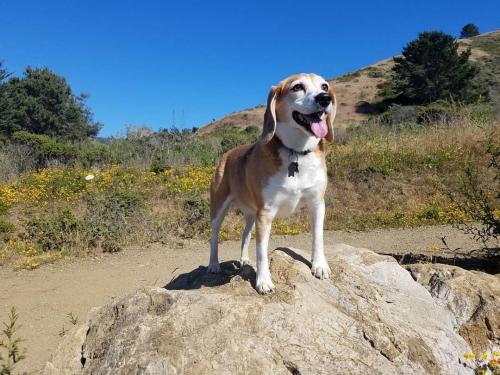 15:24:31 GMT-0800 (PST).image