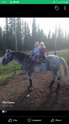 23:59:25 GMT-0800 (PST)